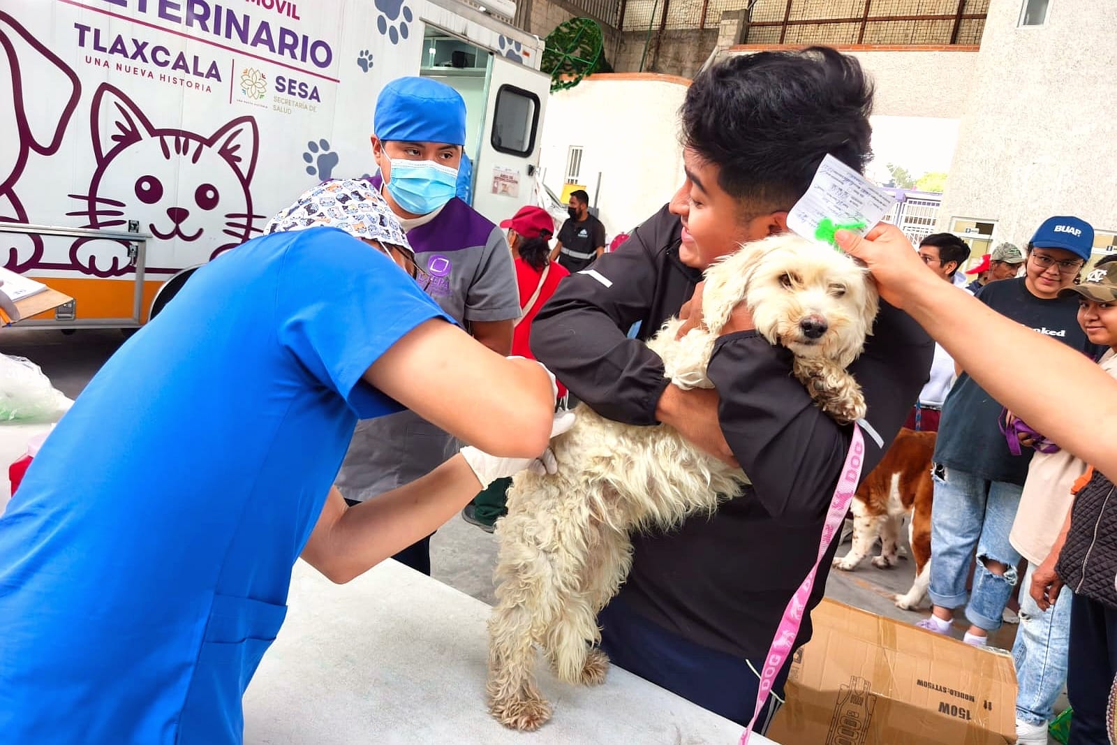 Avanza con éxito campaña gratuita de esterilización canina y felina en la capital; este jueves estuvo en Chimalpa